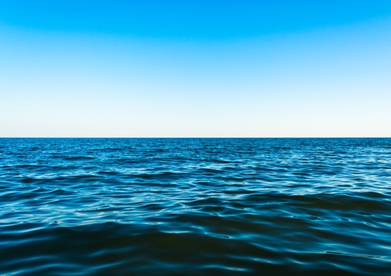 US marine scientist Dr Ayana Elizabeth Johnson says the ocean has absorbed a third of the carbon dioxide emitted by burning fossil fuels. Photo: Shutterstock.