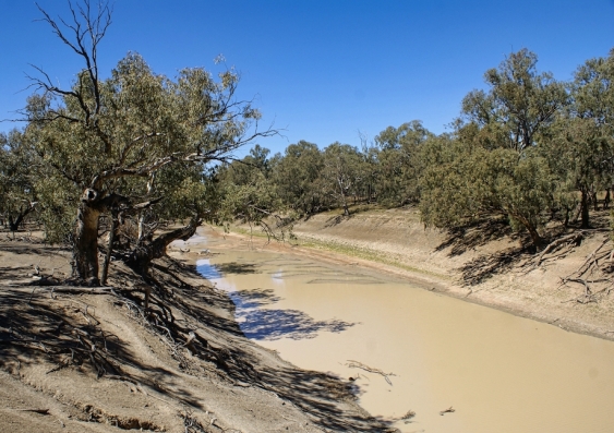 The researchers found that more than half the decline in river flows on the Darling River over the past 40 years was due to factors other than higher temperatures or less rainfall. Photo: Shutterstock.