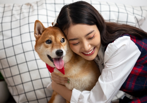 The NSW Strata Scheme Management Act removed a blanket ban on pets in strata title properties. This enabled many pet owners to keep their pet when moving into an apartment. Photo: Shutterstock