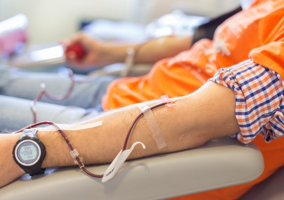 The most recent serosurvey of antibodies to the SARS-CoV-2 virus in blood donors estimates a higher occurrence of COVID-19 cases than reported. Photo: Shutterstock.