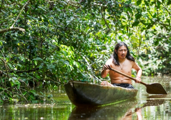 Indigenous peoples protect an estimated 80 per cent of global biodiversity. Photo: Shutterstock.