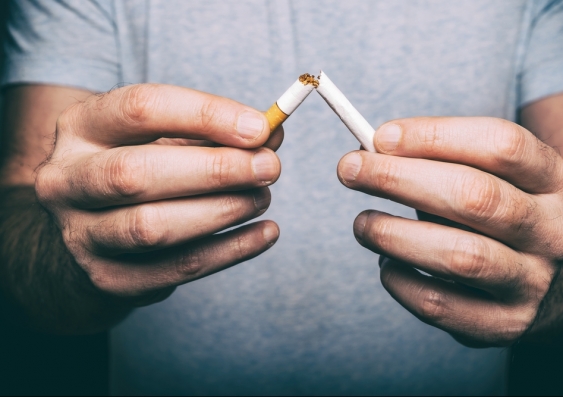 Cytisine acts similarly to varenicline and reduces urges to smoke and other nicotine withdrawal symptoms. Photo: Shutterstock