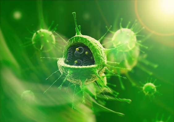 3D Virus. Image: Shutterstock