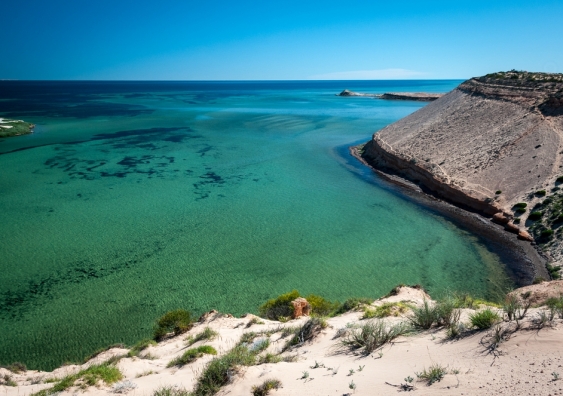 Shark Bay in Western Australia was hit by a brutal marine heatwave in 2011. Image from Shutterstock