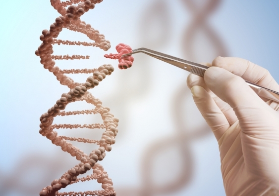 Determining the structure of the DNA was the beginning of the gene therapy journey. Image from shutterstock.com