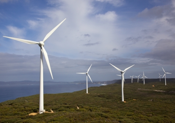 Albany Wind Farm, near the town of the same name, in Western Australia. Image from Shutterstock