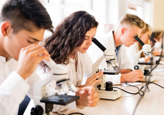 Boys and girls perform about the same in STEM at school so why the gender gap later in life? Image from Shutterstock