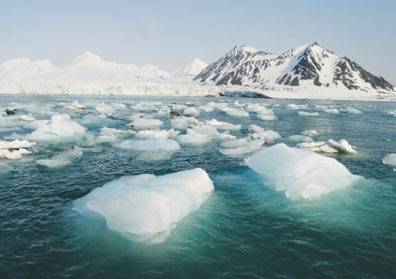 Climate change is a threat to microbes which live on sea ice. Sea ice cover levels are believed to have changed dramatically about 32,000 to 40,000 years ago. Picture: Shutterstock