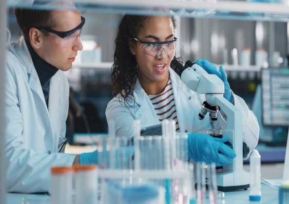 The NHMRC Centres of Research Excellence scheme provides support for teams of researchers to pursue collaborative research. Photo: Shutterstock.