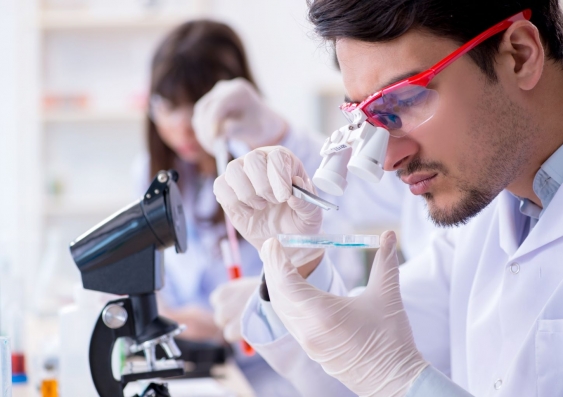 NHMRC Ideas Grants support researchers at all career stages undertaking innovative and creative research projects in any area of health and medical research from discovery to implementation. Image: Shutterstock