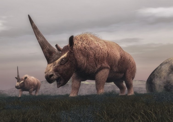An artist’s impression of Siberian unicorns (Elasmotherium) walking in the steppe grass on a cloudy day. Image from Shutterstock/Elenarts