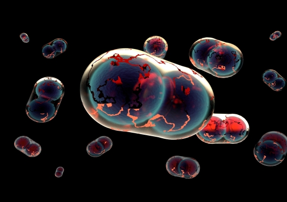 The Variola Virus (smallpox). Image: Shutterstock