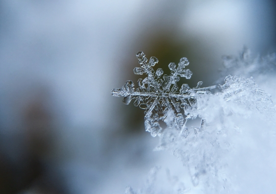 Fractals - patterns that repeat themselves on smaller scales - can be seen frequently in nature, like in snowflakes. Image: Unsplash.