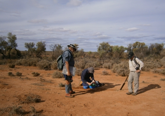 Professor David Cohen (right) with UNSW alumni Wolfgang Leyh and Patrick Streater soil sampling over a cobalt deposit south of Broken Hill in NSW. Photo: Supplied.
