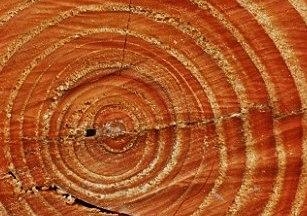 Data taken form sources including tree ring measurements.