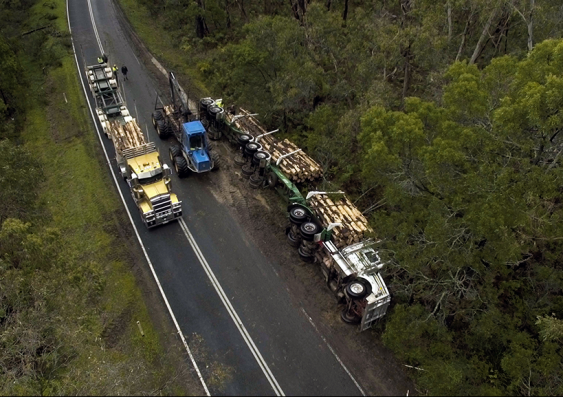 The driver escaped unharmed when this log truck he was driving rolled onto its side on the Portland-Nelson Road located about five hours south-west from Melbourne.  About 200 people die every year in accidents involving trucks. In 2019, 53 truck drivers died on the job, with 34 per cent being a result of fatigue.  (Photo: Shutterstock)