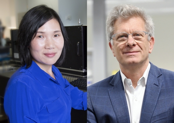 Dr Xiaojing Hao and Dr Richard Harvey