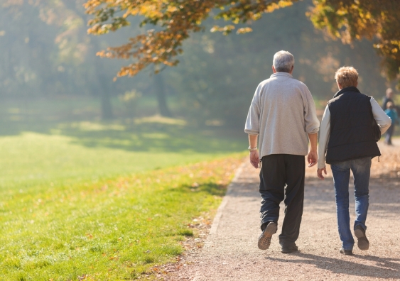 An elderly couple walking in the park.