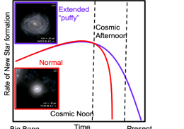 how extended or ‘puffy’ galaxies continue to make stars longer into the cosmic afternoon than compact ones