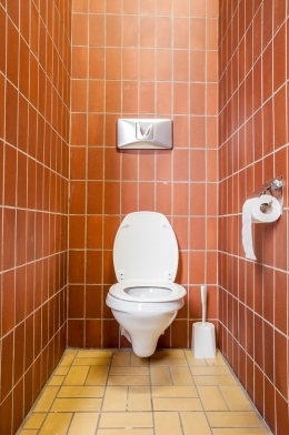 19_simple_toilet_shutterstock.jpg