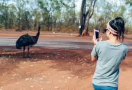 Marijke Bassani takes a photo of an emu