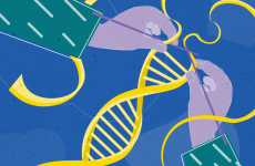 DNA strands replicating