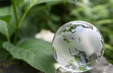 A glass globe with a green background
