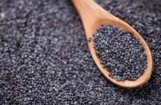 A wooden spoon in a sea of poppy seeds