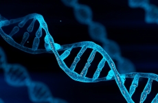 DNA double helix. Genetic cancer risk.