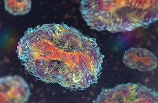 Microscopic images of the monkeypox virus