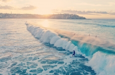 Surfer surfs a wave Bondi beach