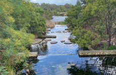 Sydney Park Wetlands