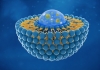 A 3D-rendering showing a cross-section of a liposome