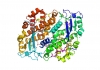 Computer 3D reconstruction of cryptophyte antenna protein structure