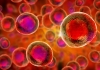 Artist's impression of blood stem cells