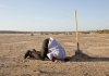 Climate denialism - person with head in sand