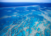 A drone photo of the Great Barrier Reef.jpg