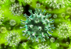 Artist impression of the COVID-19 virus.