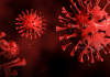 corona virus against red background 3d render