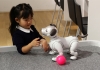 Girl playing with a robotic dog