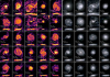 An ensemble of twenty-five disk galaxies