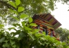 rainbow treehouse in a park
