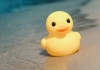 rubber ducky sitting at the waters edge on a beach