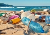Plastic rubbish on the beach