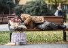 Homeless man sleeping on a park bench