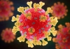 mRNA versus adenovirus vaccine