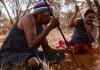 Aboriginal women digging with sticks