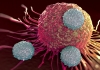 T-cells attacking cancer cell illustration of microscopic photos
