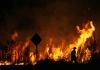 A bushfire burning