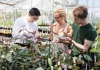 Three UNSW students in a glasshouse inspecting native plants
